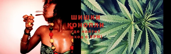 индика Горняк
