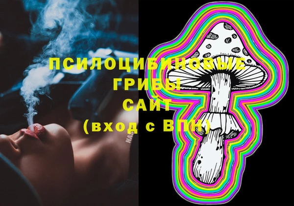 индика Горняк