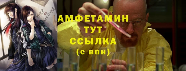 индика Горняк