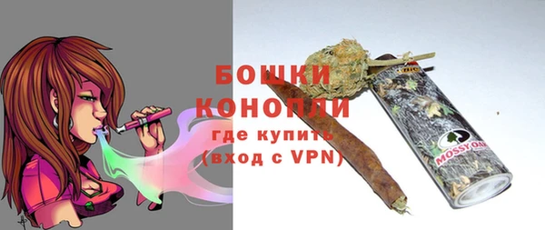 индика Горняк