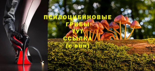 индика Горняк