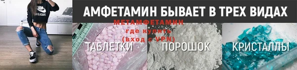 индика Горняк
