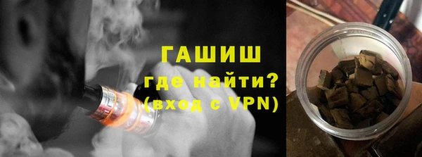 индика Горняк