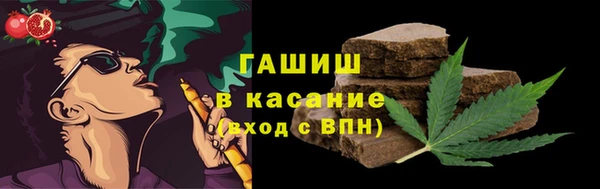 индика Горняк