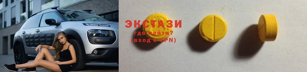 индика Горняк