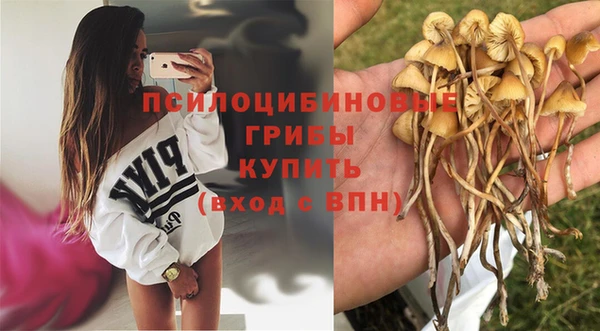 стафф Горнозаводск