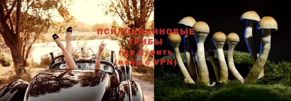 стафф Горнозаводск
