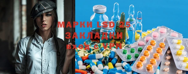 стафф Горнозаводск