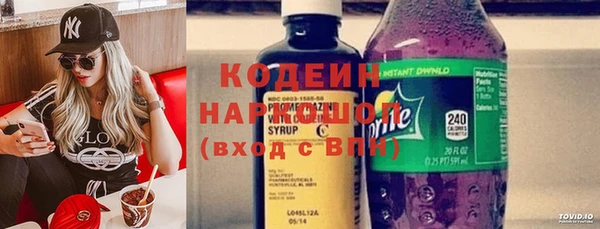 индика Горняк