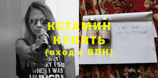 индика Горняк