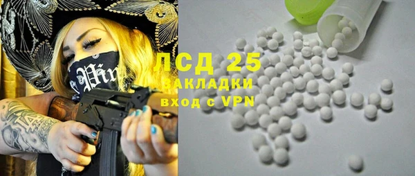 индика Горняк