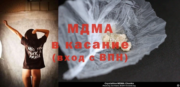 индика Горняк