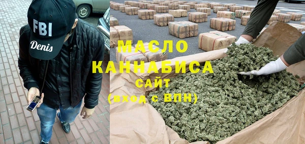 индика Горняк
