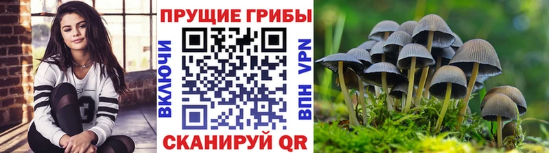 Галлюциногенные грибы Psilocybine cubensis  наркота  Домодедово 